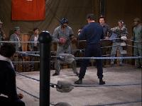 Click to watch 'The Softer They Fall' (popup) Hogans Heroes